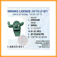 תמונה ראשית של רישיון נהיגה