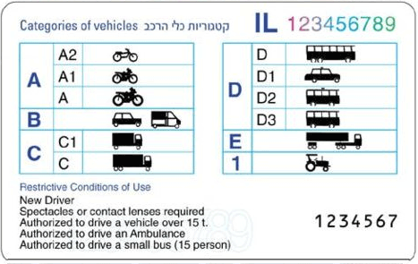 רישיון נהיגה, צד אחורי